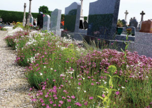 Nova Flore Champigné Les Hauts d’Anjou Solutions Naturelles Bio couv Cimetière