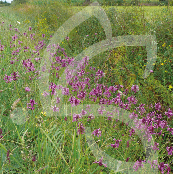 Hexa'Flore Lisières Acides Connect