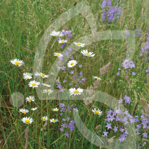 Hexa'Flore Prairies Sèches Connect