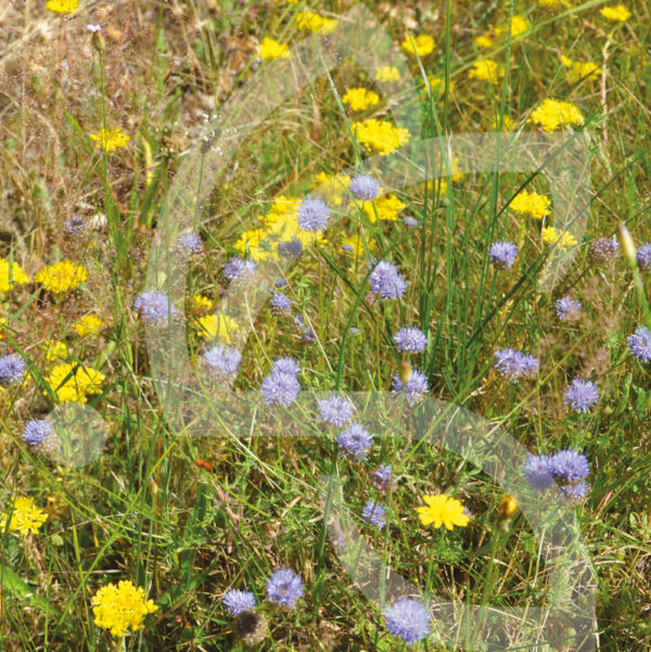 Hexa'Flore Sables et Graviers Connect