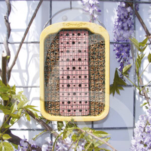 Ruche Pour Abeilles sauvages