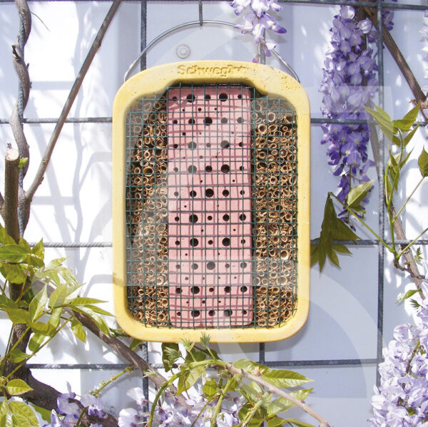 Ruche Pour Abeilles sauvages
