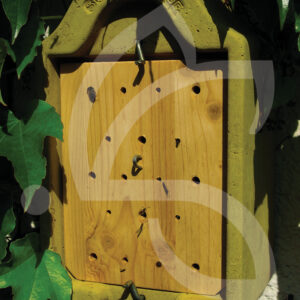 Ruche Pour Insectes Solitaires