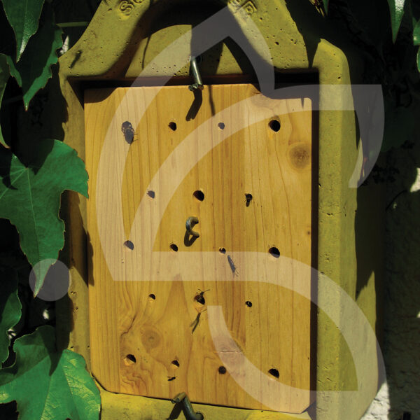 Ruche Pour Insectes Solitaires