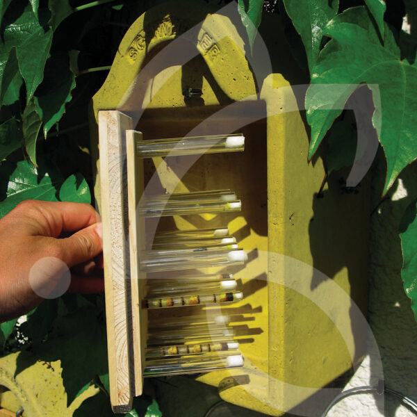 Ruche Pour Insectes Solitaires – Image 2