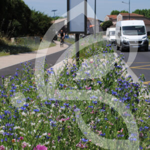 Tom-Pouce Pastel Connect