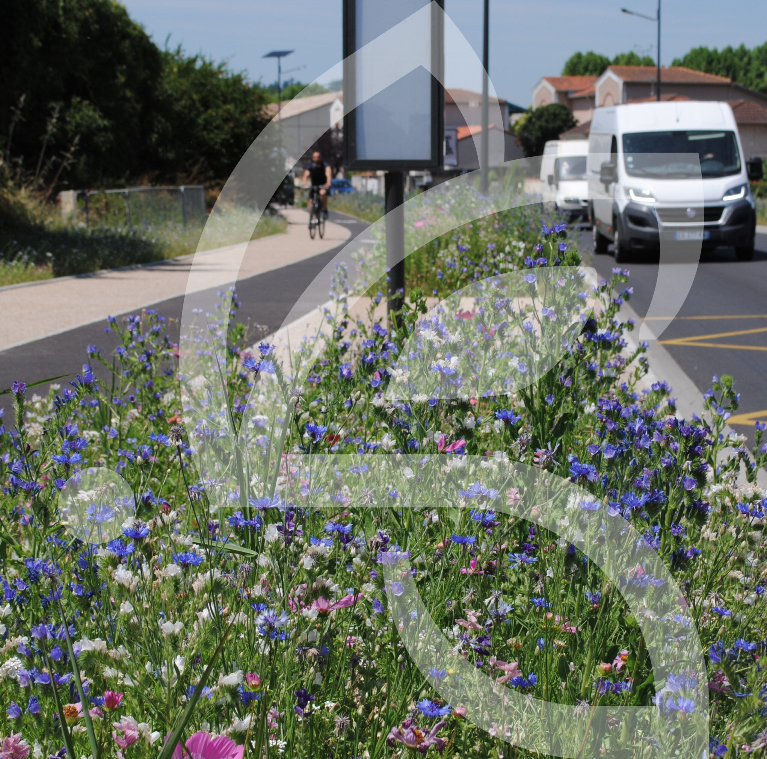 Tom-Pouce Pastel Connect