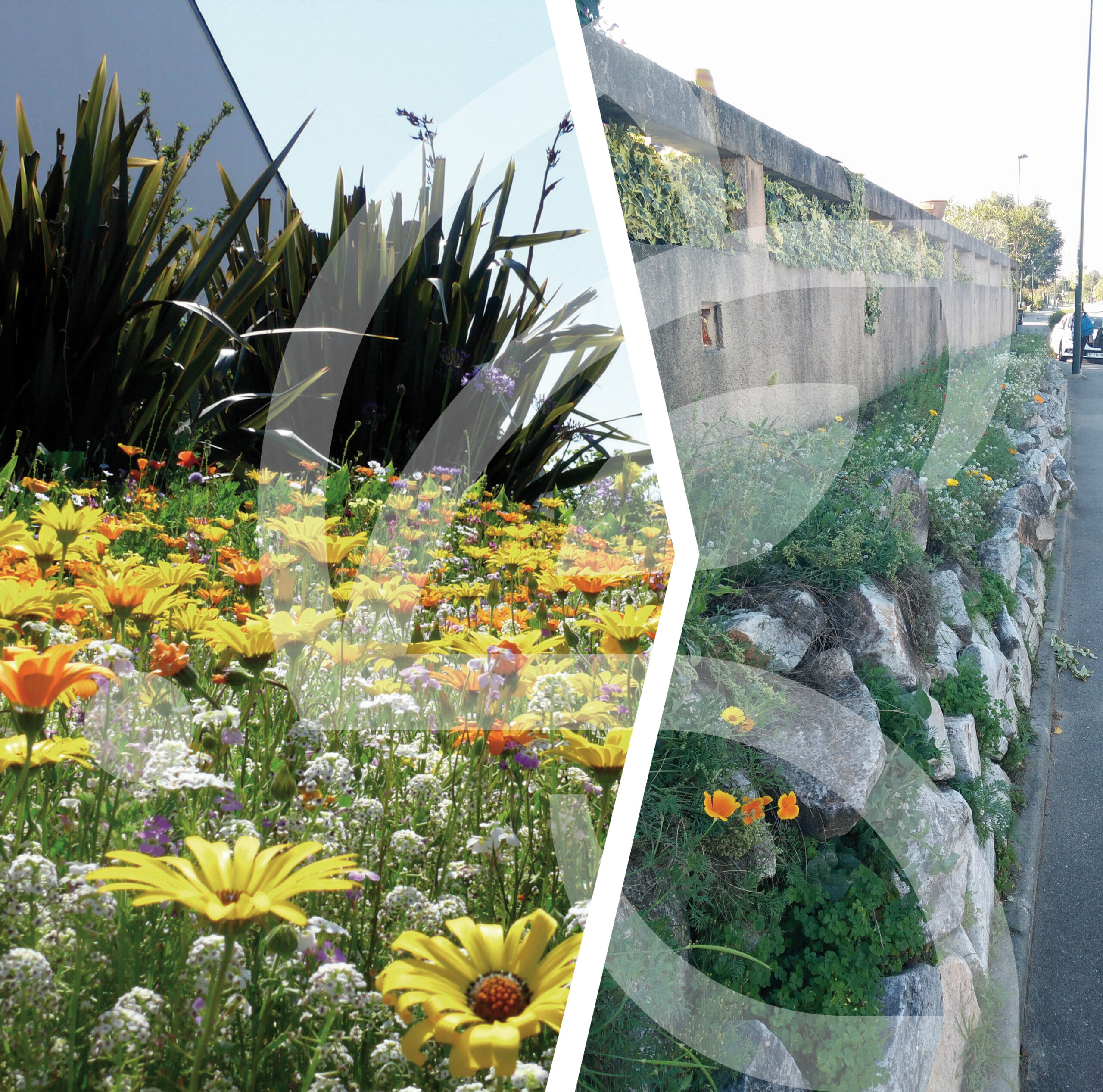 Tom-Pouce Rocaille Connect