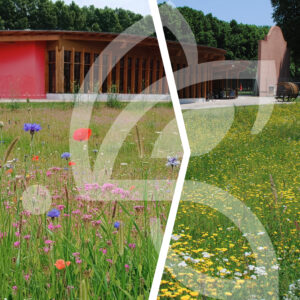 Noues Fleuries Connect