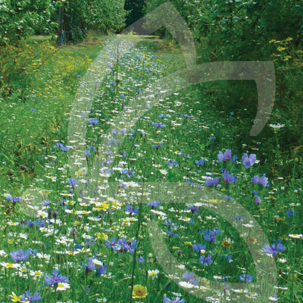 Inter-rang Biodiversité