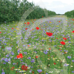 Tournières Biodiversité