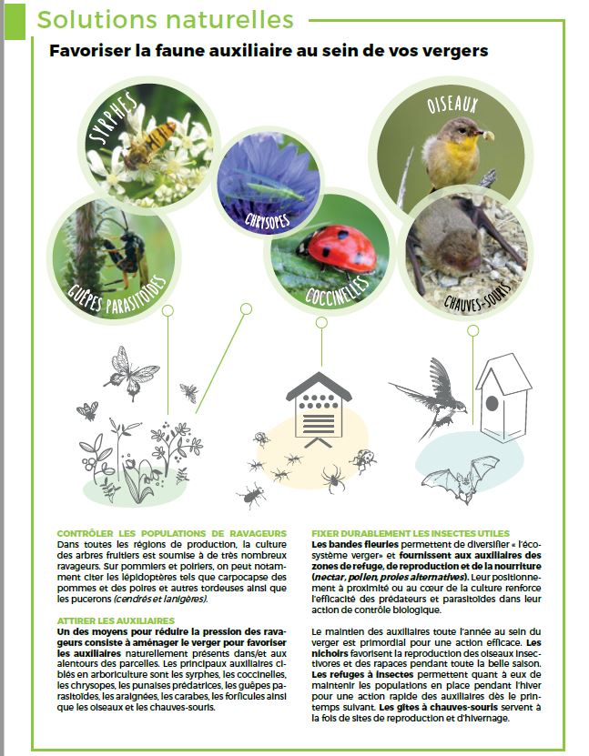 faune auxiliaire vergers bios diversité