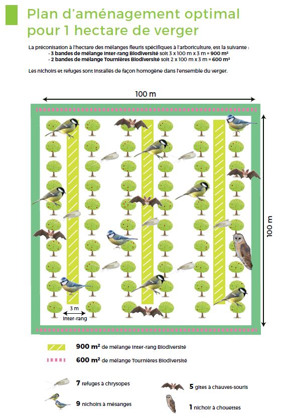 aménagement verger biodiversité
