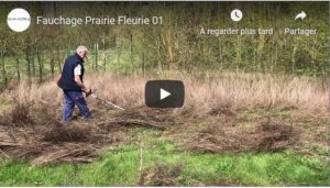 fauchage prairie fleurie