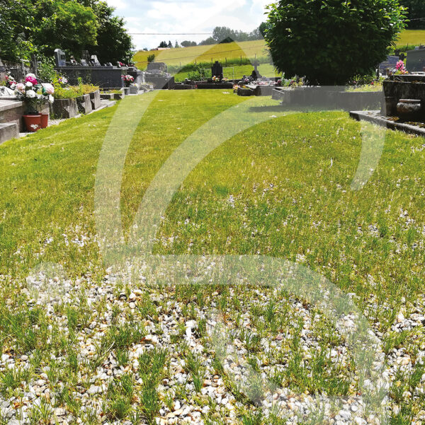 Bio Couv' Enherbement Eco start connect