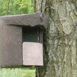 Nichoir à Rouge Queue ou Rouge-gorges 2H