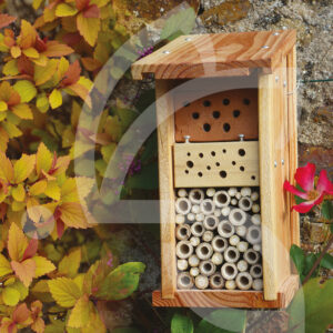 Gite A Pollinisateurs I301