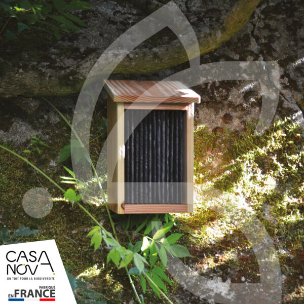 Refuge à coccinelles