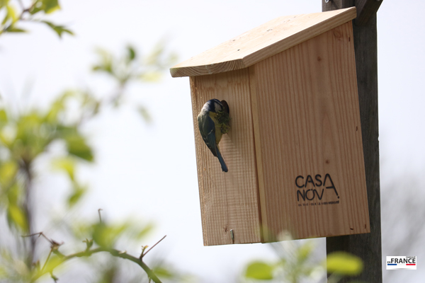 Nichoirs à mésange - V Natura