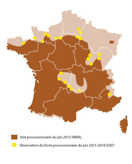 Carte de France répartition processionnaire